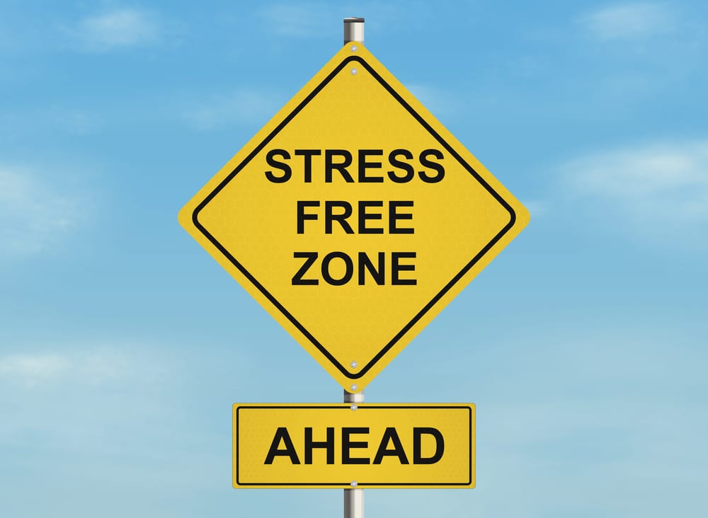 Stress Free Zone Ahead